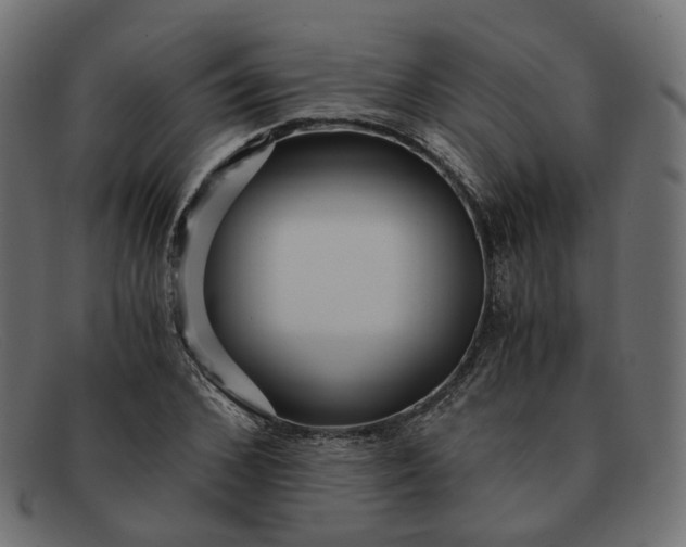 X0000091880976200709191153