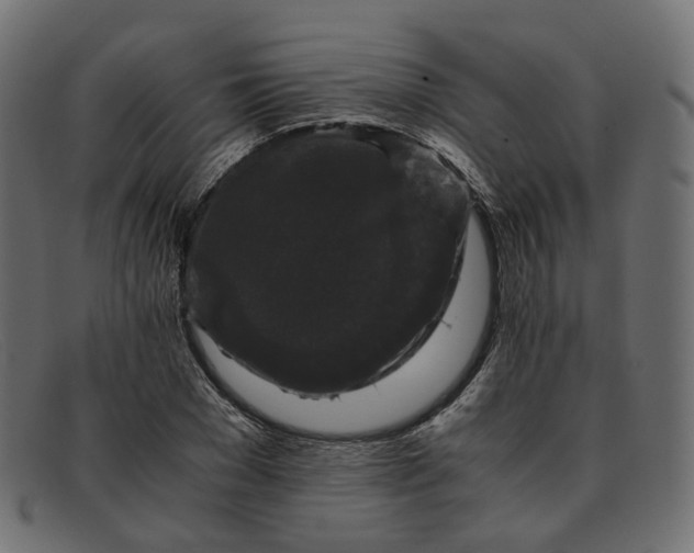 X0000091880977200709191153