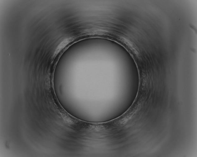 X0000091880978200709191153