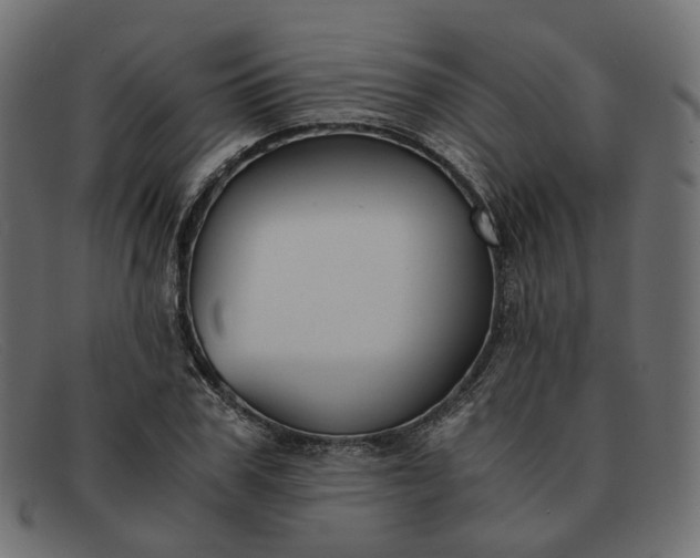 X0000091880979200709191153