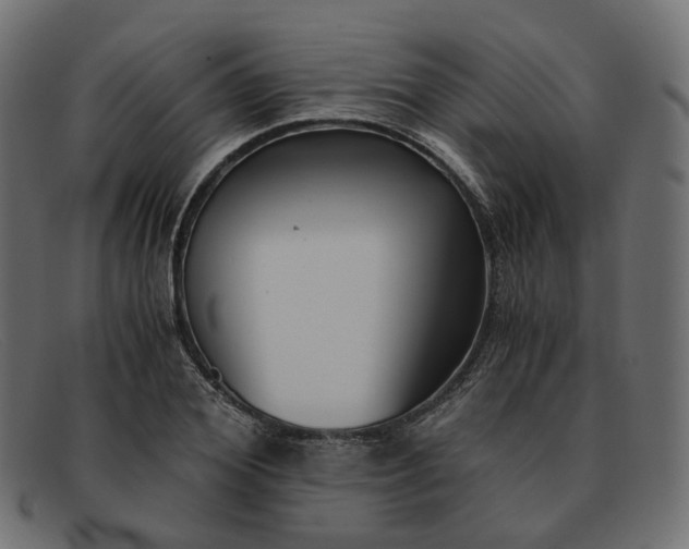 X0000091880980200709191153