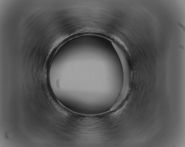 X0000091880981200709191153