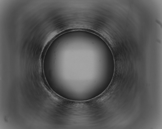 X0000091880982200709191153