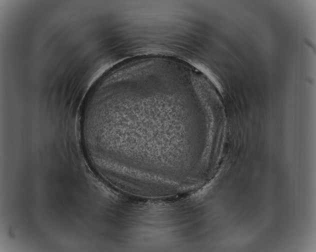 X0000091880983200709191152