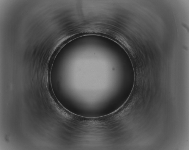 X0000091880984200709191152