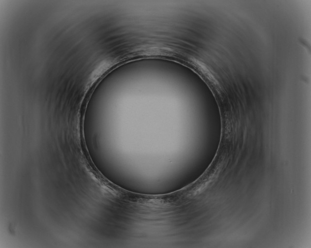 X0000091880986200709191152