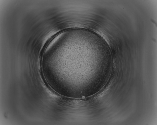 X0000091880987200709191152