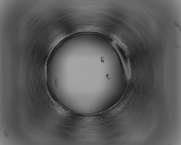 X0000091880988200709191152