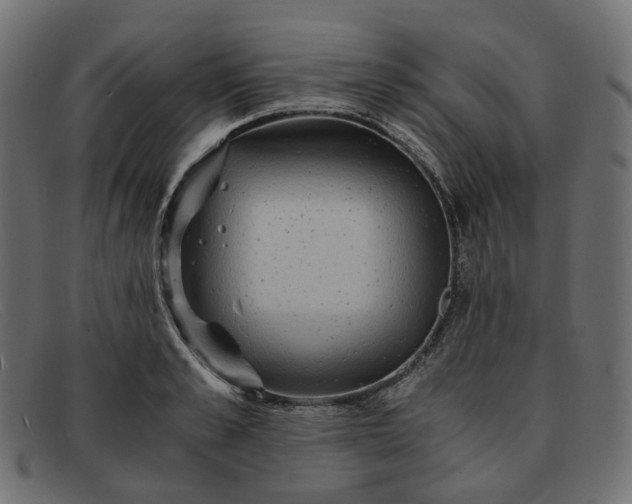 X0000091880989200709191152