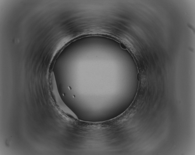 X0000091880990200709191152