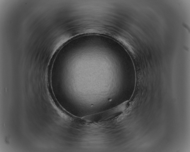 X0000091880991200709191152