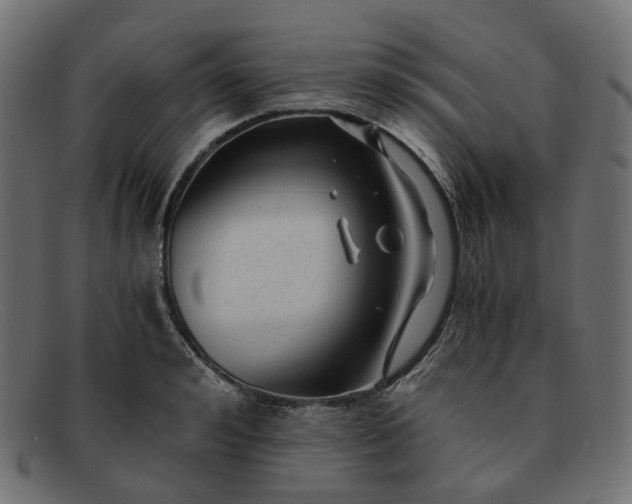 X0000091880992200709191152