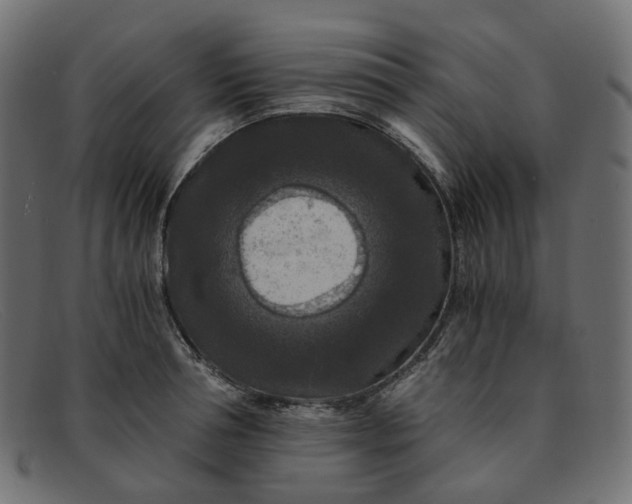 X0000091880994200709191152