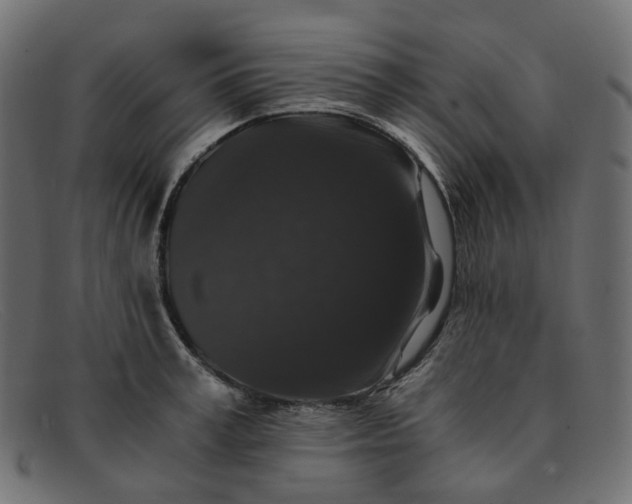 X0000091880995200709191152