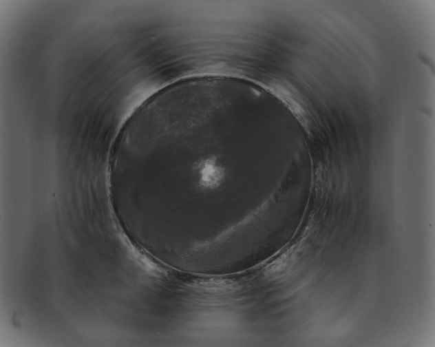 X0000091880998200709191152