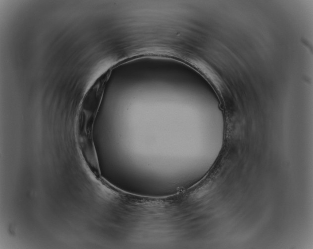 X0000091880999200709191152