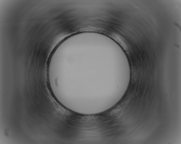 X0000091881000200709191152