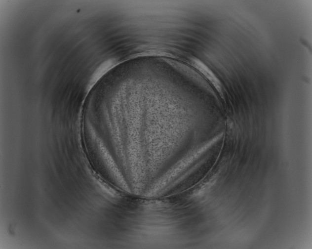 X0000091881002200709191152
