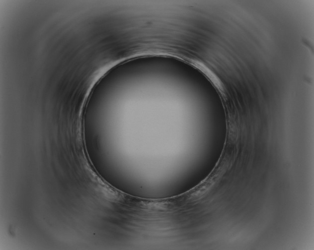 X0000091881004200709191152