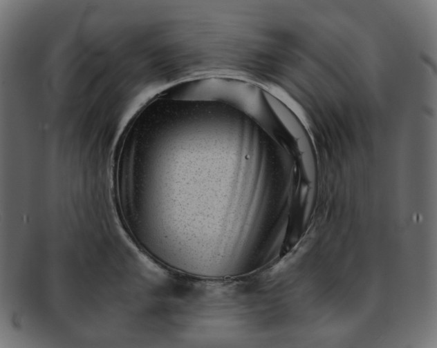 X0000091881005200709191152