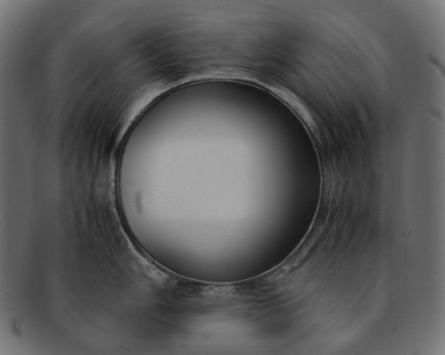 X0000091881006200709191152