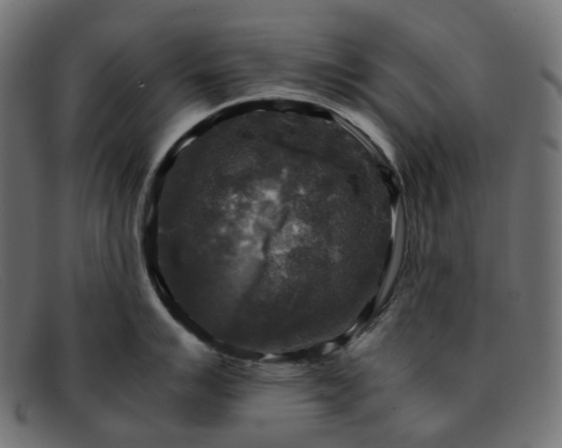 X0000091881007200709191152