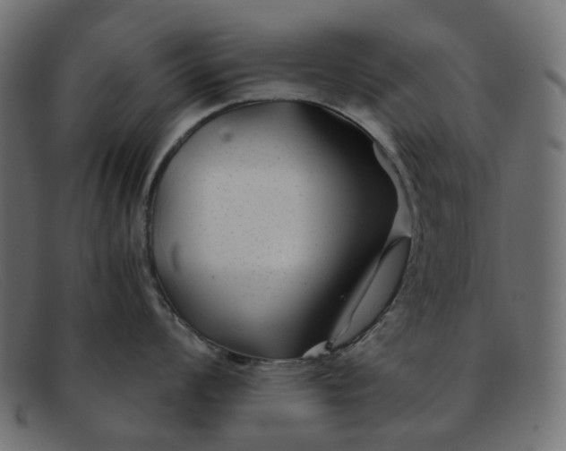 X0000091881008200709191152