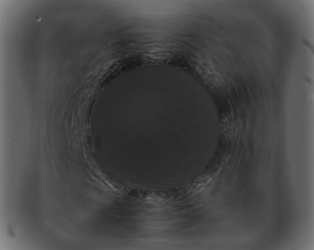 X0000091881009200709191151