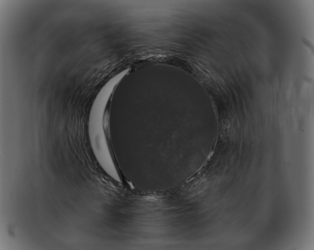 X0000091881010200709191151