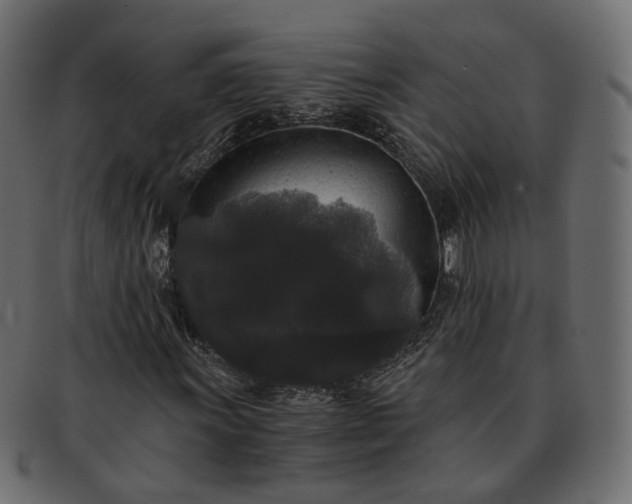 X0000091881011200709191151