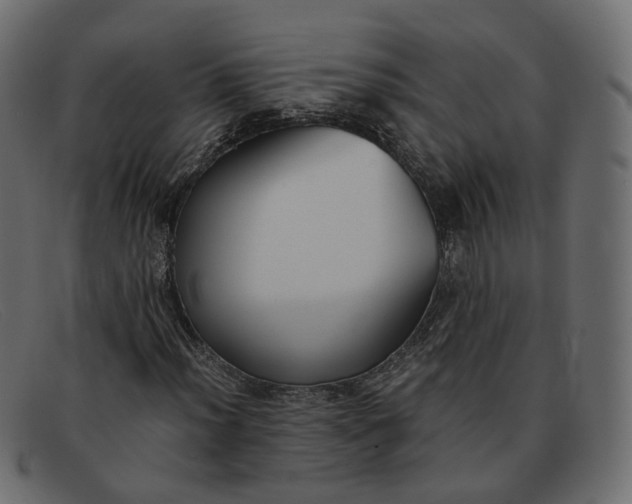 X0000091881012200709191151