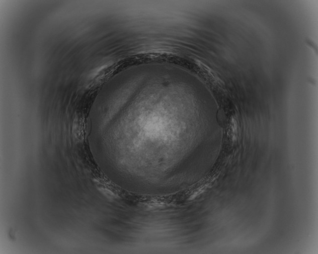 X0000091881014200709191152