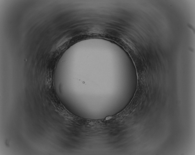 X0000091881015200709191152