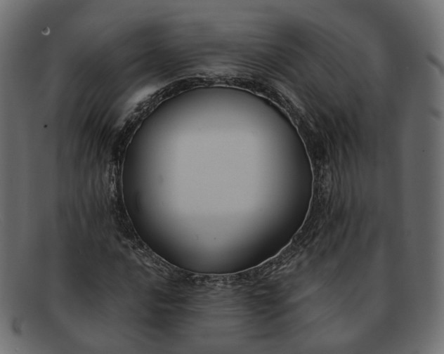 X0000091881016200709191152