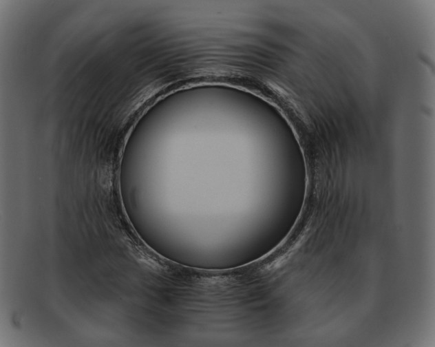 X0000091881017200709191152