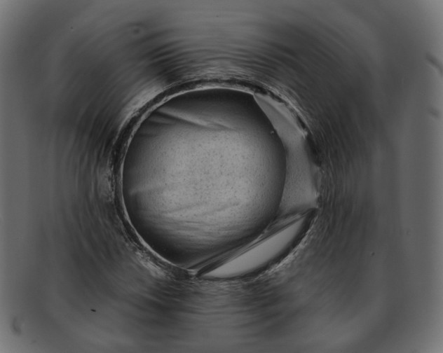 X0000091881018200709191152