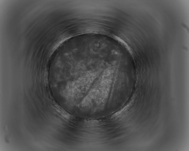 X0000091881019200709191152