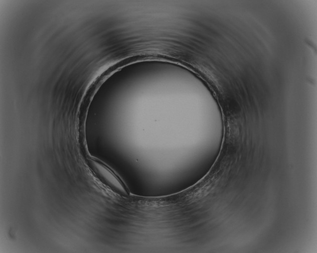 X0000091881020200709191152