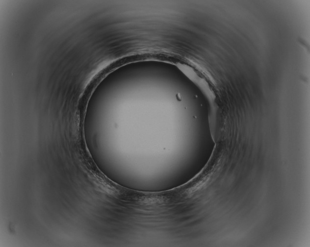 X0000091881021200709191152