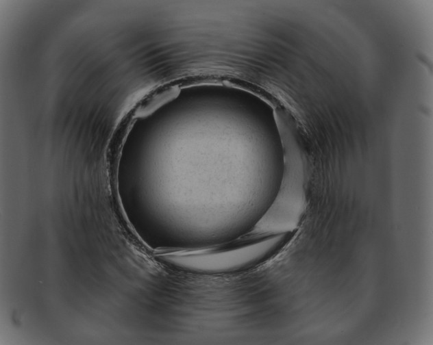 X0000091881022200709191152