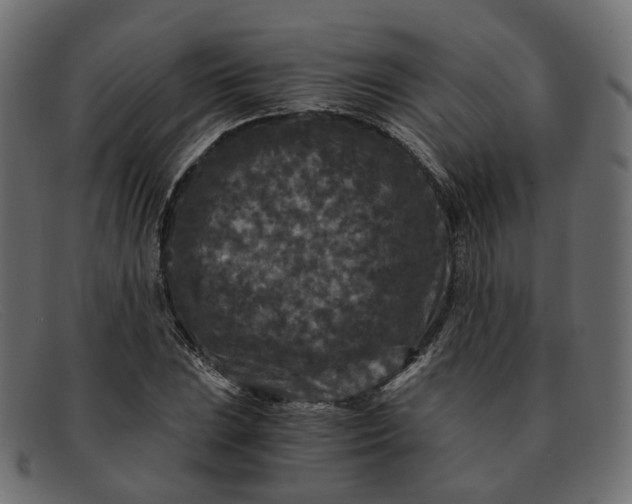 X0000091881023200709191152