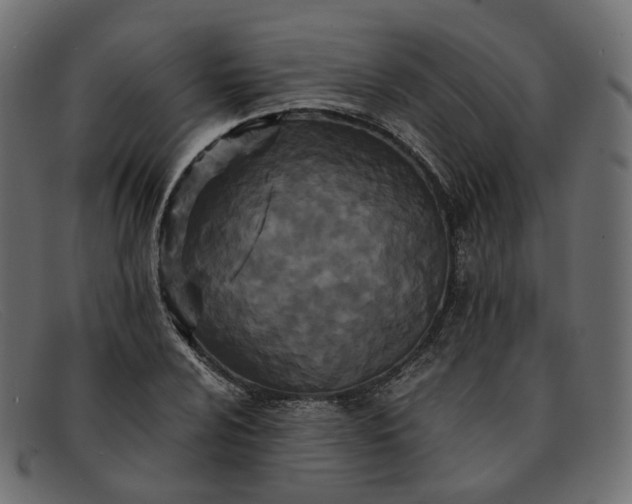 X0000091881024200709191152