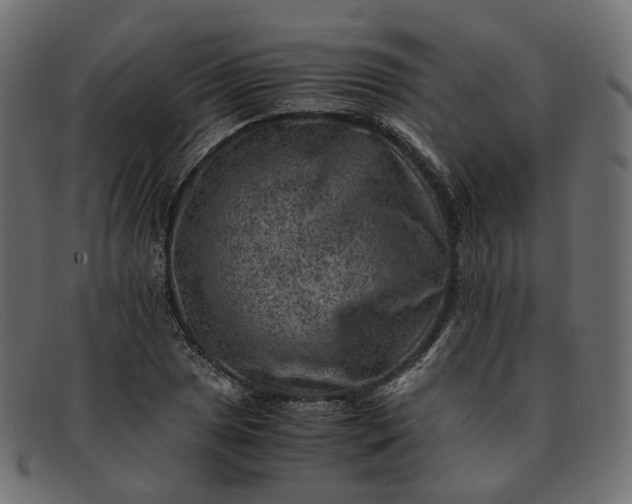 X0000091881025200709191152