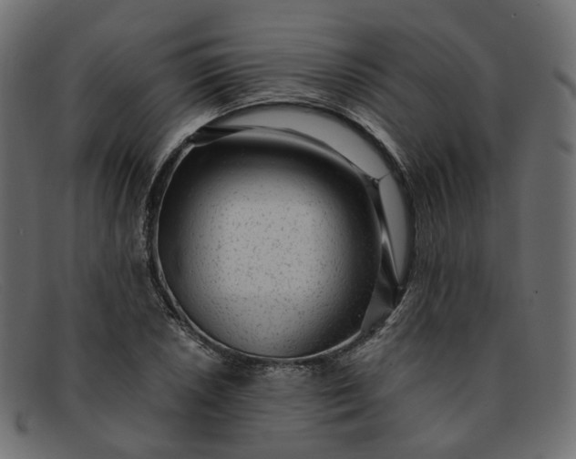 X0000091881026200709191152