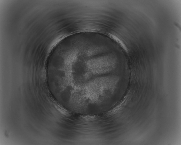 X0000091881027200709191152