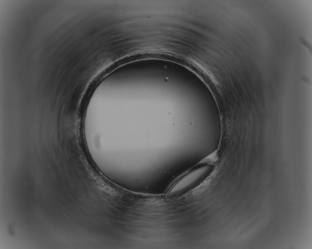 X0000091881029200709191152