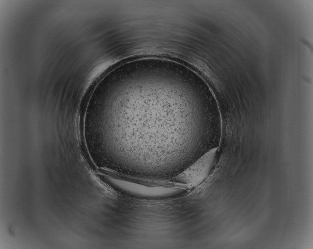 X0000091881030200709191152