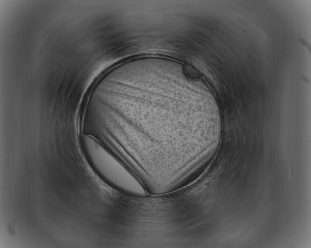X0000091881032200709191152