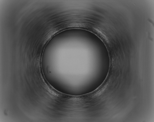 X0000091881033200709191152