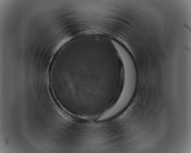 X0000091881034200709191152